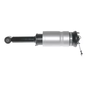  Land Rover Range Rover Sport (L320) Federbein Vorne
