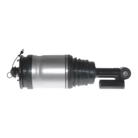  Land Rover Range Rover Sport (L320) Federbein Hinten Recht