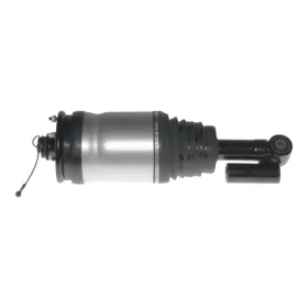Land Rover Range Rover Sport (L320) Federbein Hinten Links