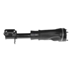 Land Rover Range Rover (L322) Federbein Vorne Links