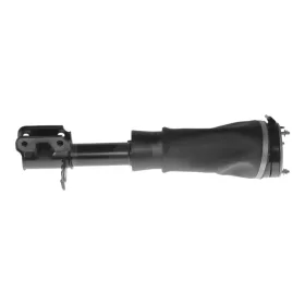 Land Rover Range Rover (L322) Federbein Vorne Links