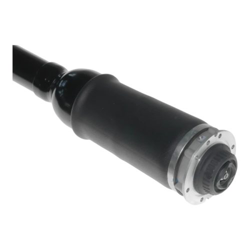 Audi A6 C5 4B Allroad Federbein Vorne