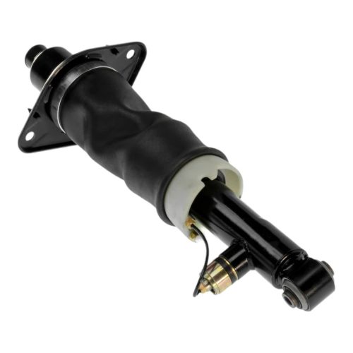 Audi A6 C5 4B Allroad Federbein Hinten Links