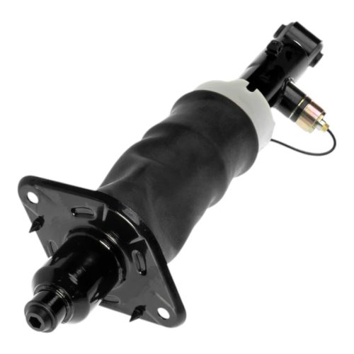 Audi A6 C5 4B Allroad Federbein Hinten Recht