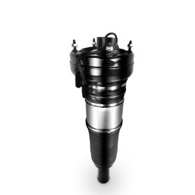 Audi A6 C7 4G Federbein Vorne