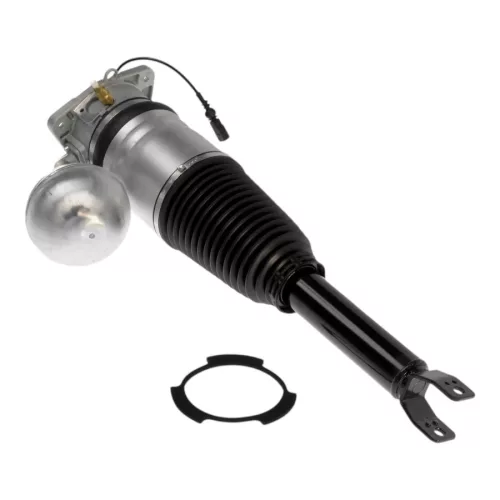 Volkswagen Phaeton Federbein Hinten Links