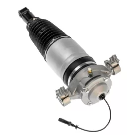 Volkswagen Touareg II (7P) Federbein Hinten Links